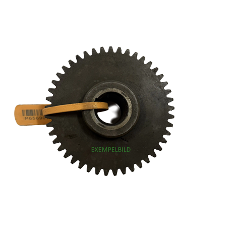 Kuggdrev